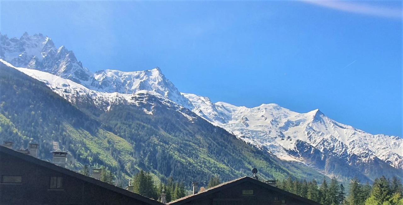 Chamonix Superbe Appartement Vue Mont Blanc Екстер'єр фото
