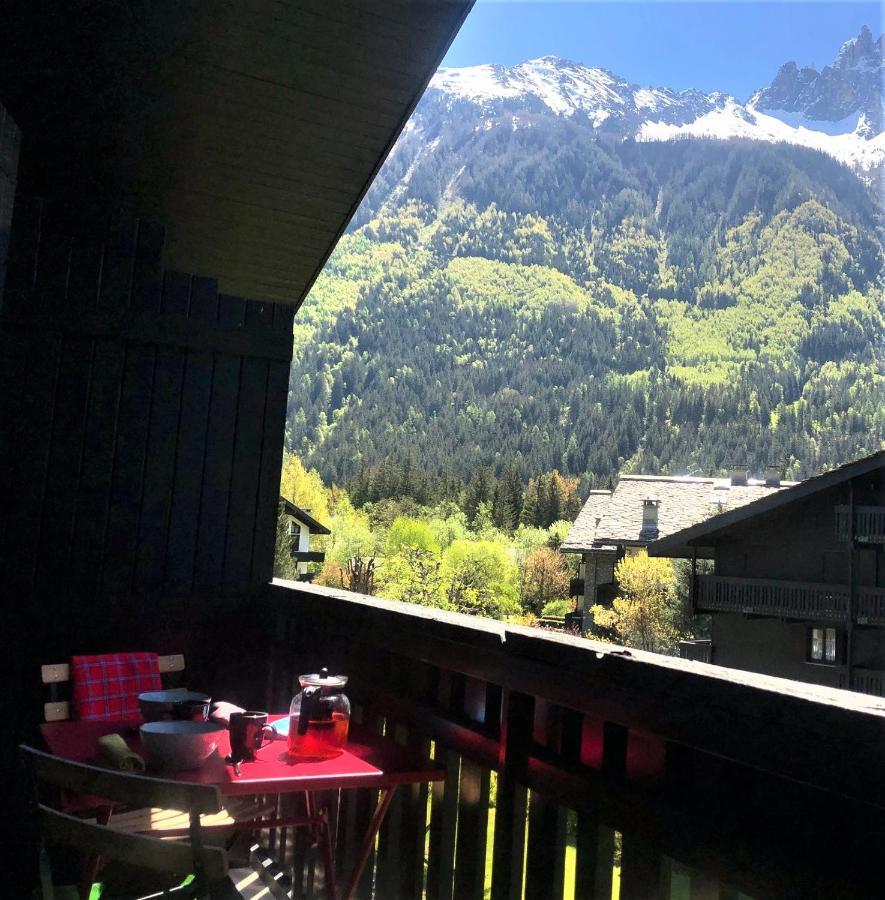 Chamonix Superbe Appartement Vue Mont Blanc Екстер'єр фото