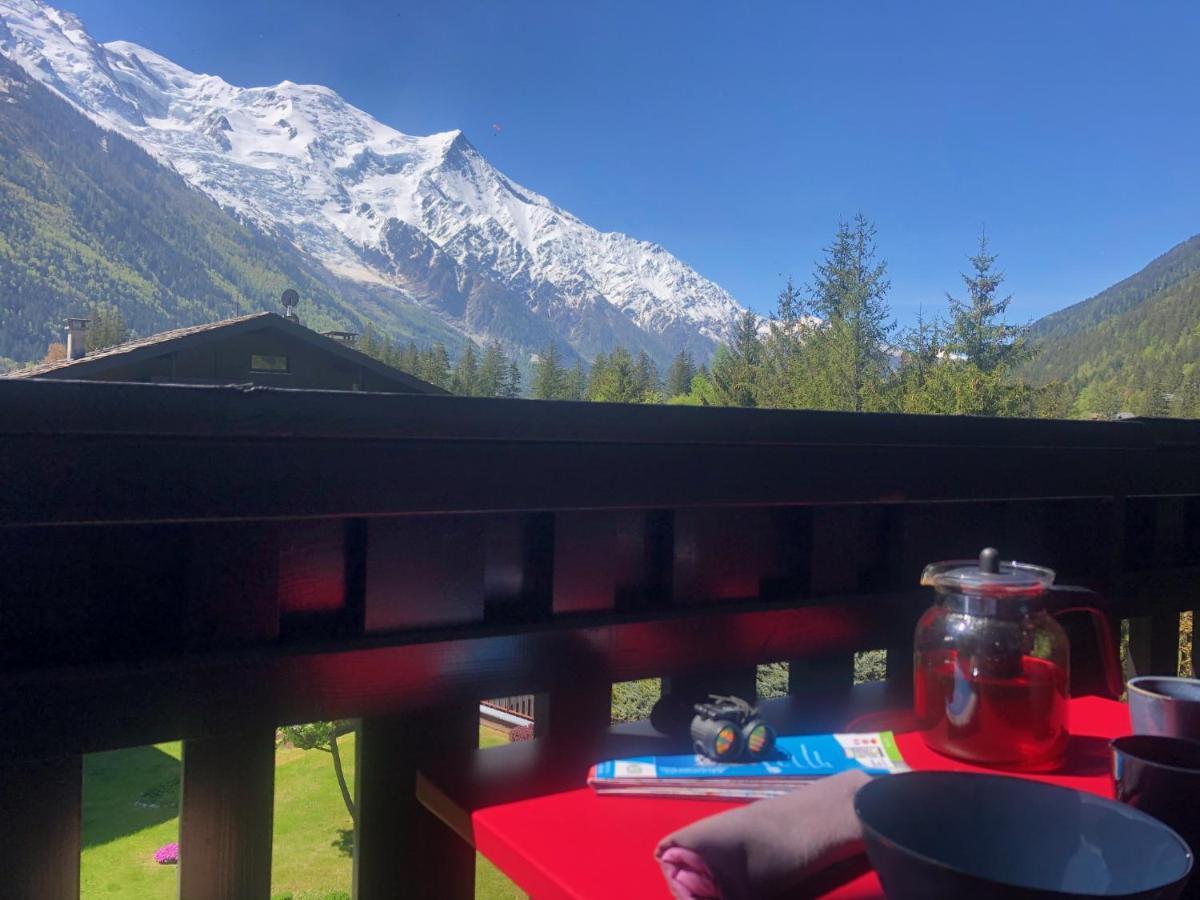 Chamonix Superbe Appartement Vue Mont Blanc Екстер'єр фото