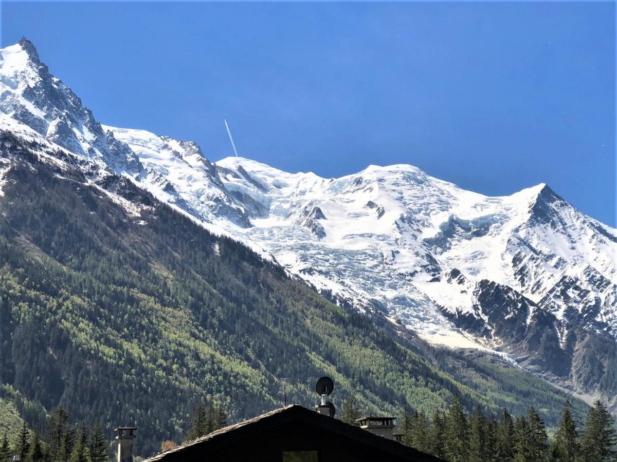 Chamonix Superbe Appartement Vue Mont Blanc Екстер'єр фото
