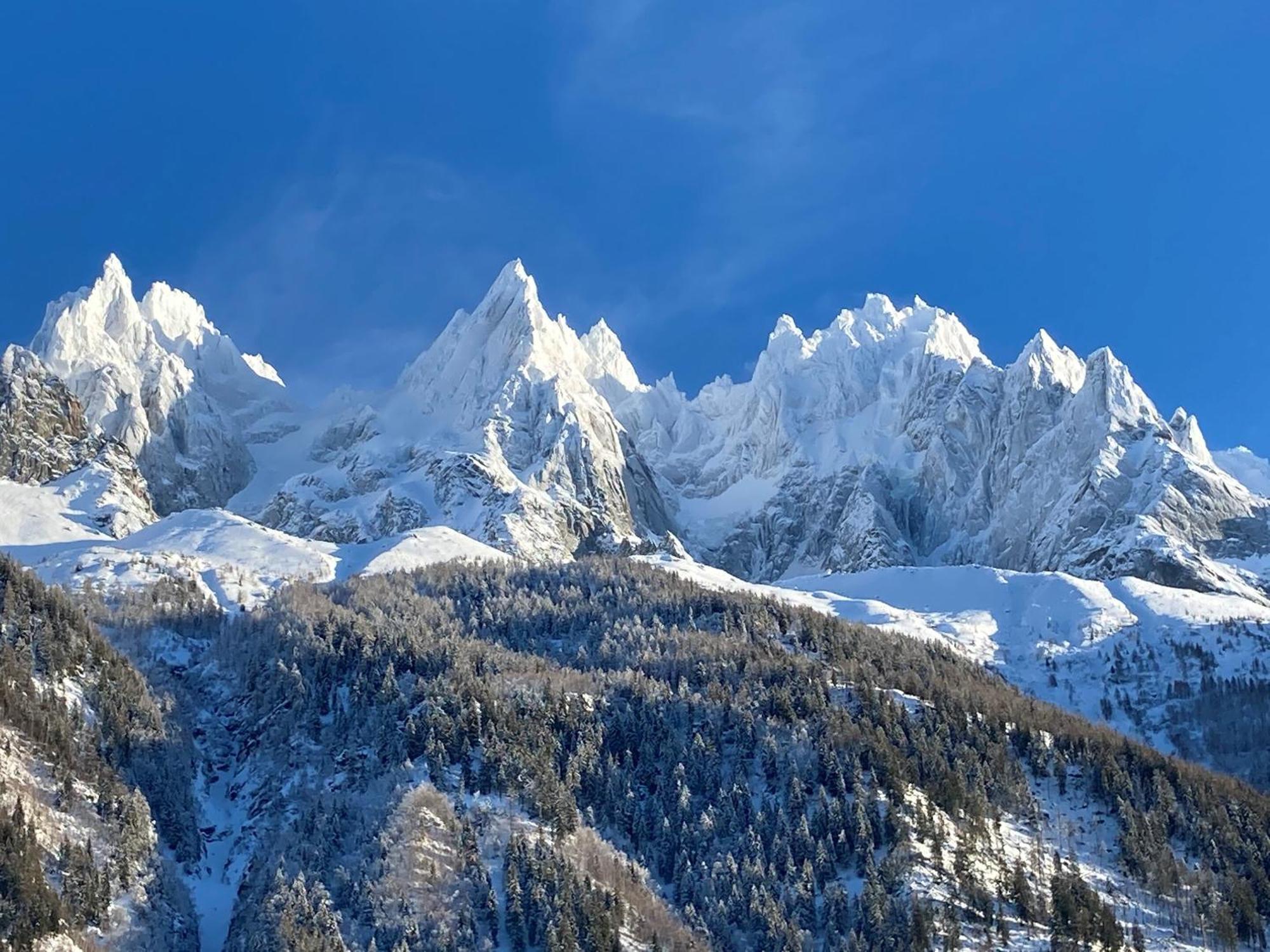 Chamonix Superbe Appartement Vue Mont Blanc Екстер'єр фото